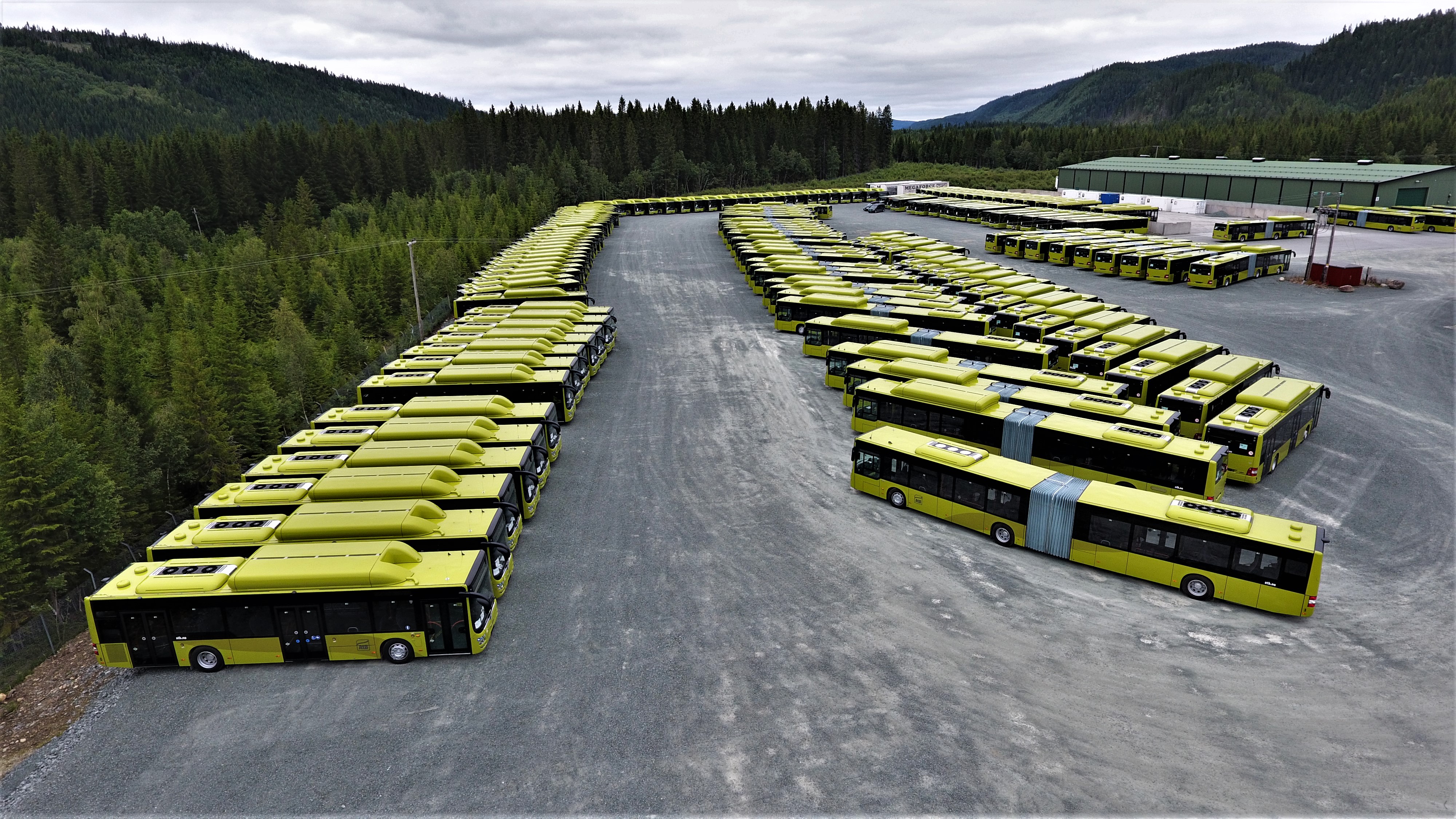 189 MAN-busser til Trondheim